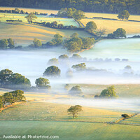 Buy canvas prints of Early morning mist over the fields  by Chris Warren