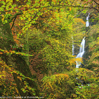 Buy canvas prints of Stock Ghyll Force Lake District in Autumn colour by Chris Warren
