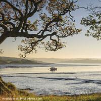 Buy canvas prints of River Daugleddau Lawrenny Pembrokeshire Wales by Chris Warren