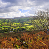 Buy canvas prints of Carningli Mountain Preseli hills Pembrokeshire by Chris Warren