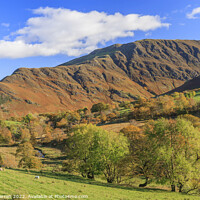 Buy canvas prints of Newlands Valley Keswick Lake District by Chris Warren