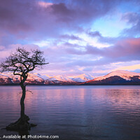 Buy canvas prints of Loch Lomond Argyll and Bute Scotland at dawn by Chris Warren