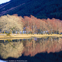 Buy canvas prints of Loch Voil Stirling Scotland by Chris Warren