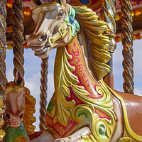 Buy canvas prints of Darren the Fairground horse  by Chris Warren