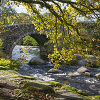Buy canvas prints of Dartmeet Dartmoor Devon autumn by Chris Warren