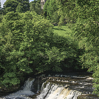 Buy canvas prints of Aysgarth waterfalls North Yorkshire by Chris Warren