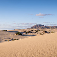 Buy canvas prints of Sand Dunes Corralejo Fuerteventura evening light by Chris Warren