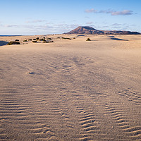 Buy canvas prints of Sand Dunes Corralejo Fuerteventura by Chris Warren