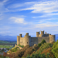 Buy canvas prints of Harlech Castle Gwynedd by Chris Warren