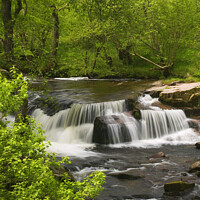 Buy canvas prints of Taf Fechan Stream and waterfalls Brecon by Chris Warren