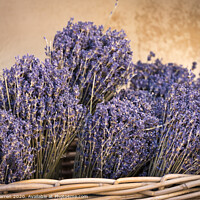 Buy canvas prints of Basket of Lavender by Chris Warren