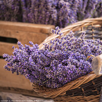 Buy canvas prints of Lavender in a wicker basket  by Chris Warren