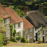 Buy canvas prints of Gold Hill Shaftesbury by Chris Warren