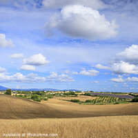 Buy canvas prints of Valensole Plateau Provence-Alpes-Cote d'Azur Franc by Chris Warren