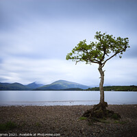 Buy canvas prints of Milarrochy Bay Loch Lomond Scotland by Chris Warren