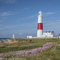 Buy canvas prints of Portland Bill Lighthouse Portland Dorset England by Chris Warren