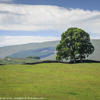 Buy canvas prints of Wensleydale countryside North Yorkshire England by Chris Warren