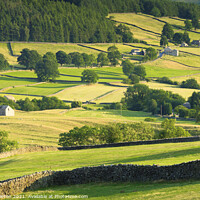 Buy canvas prints of Countryside in Wharfedale North Yorkshire by Chris Warren