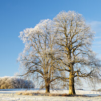 Buy canvas prints of Rural countryside Carmarthenshire in winter by Chris Warren