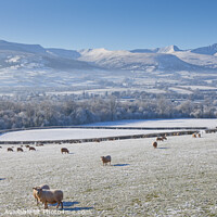 Buy canvas prints of Winter snow at Pen y Fan & Corn Du mountains Breco by Chris Warren
