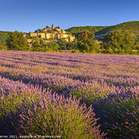 Buy canvas prints of Lavender fields near Banon Provence France by Chris Warren