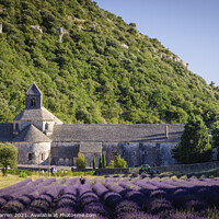 Buy canvas prints of Senanque Abbey with lavender fields Provence Franc by Chris Warren