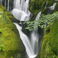 Buy canvas prints of Furnace Falls Ceredigion Wales by Chris Warren