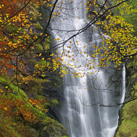 Buy canvas prints of Pistyll Rhaeadr Waterfalls in autumn by Chris Warren