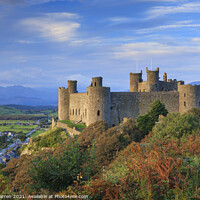 Buy canvas prints of Harlech Castle Gwynedd Wales by Chris Warren