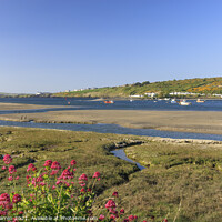 Buy canvas prints of Poppet Sands Newport Pembrokeshire by Chris Warren