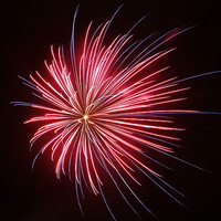 Buy canvas prints of colourful exploding firework by Peter Mclardy