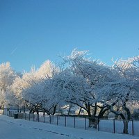 Buy canvas prints of Winter wonderland by Peter Mclardy