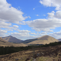 Buy canvas prints of Highland Heaven ! by Peter Mclardy
