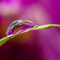 Buy canvas prints of Water droplet ! by Peter Mclardy