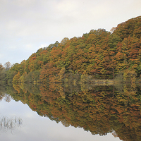 Buy canvas prints of Loch Relections by Peter Mclardy