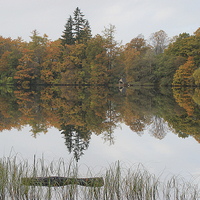 Buy canvas prints of Loch Reflections 2 by Peter Mclardy