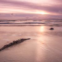 Buy canvas prints of Driftwood ! by Peter Mclardy