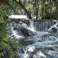 Buy canvas prints of Dunns river falls by Peter Mclardy
