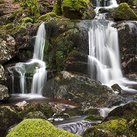 Buy canvas prints of  Babbling Brook by Peter Mclardy