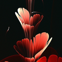 Buy canvas prints of Bright Red by Anastasiya Malakhova