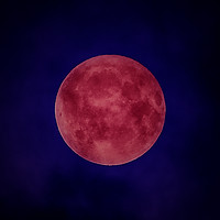 Buy canvas prints of Wolf Moon 2018 by Andrew chittock
