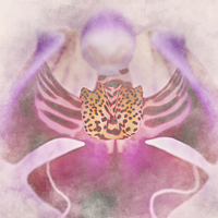 Buy canvas prints of Orchid by Darren Allen