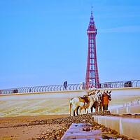 Buy canvas prints of Blackpool Donkeys  by Victor Burnside