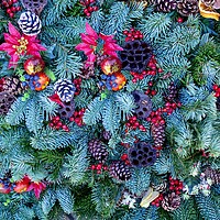 Buy canvas prints of Christmas Foliage  by Victor Burnside
