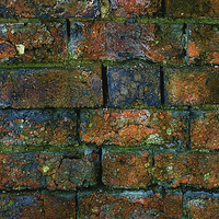 Buy canvas prints of Stone Wall by Victor Burnside