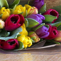 Buy canvas prints of Tulips by Victor Burnside