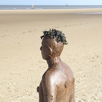 Buy canvas prints of Gormley by Victor Burnside