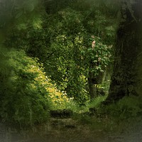Buy canvas prints of English Woodland by Victor Burnside