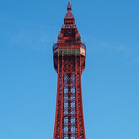 Buy canvas prints of Blackpool Tower   by Victor Burnside