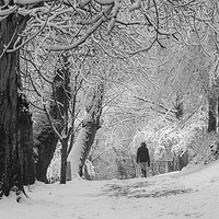 Buy canvas prints of Winter Walk    by Victor Burnside